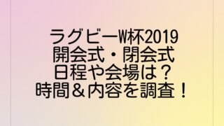 ラグビーW杯2019開会式・閉会式の日程や会場は?時間&内容を調査!