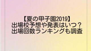 【夏の甲子園2019】出場校予想や発表はいつ？出場回数ランキングも調べてみた！