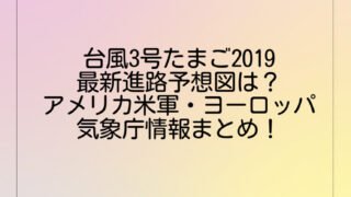 台風3号たまご2019最新進路予想図は?アメリカ米軍・ヨーロッパ・気象庁情報まとめ!