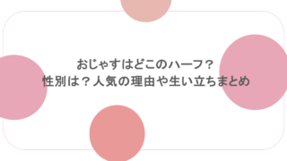おじゃすはどこのハーフ？性別は？人気の理由や生い立ちまとめ