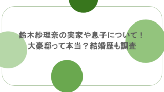 鈴木紗理奈の実家や息子について！大豪邸って本当？結婚歴も調査